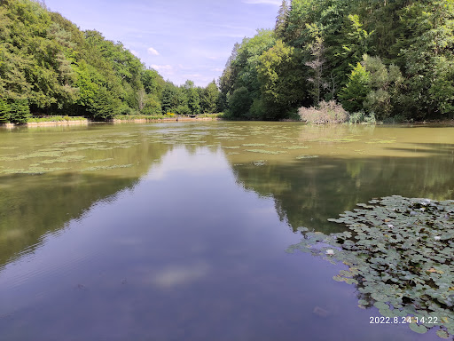 Becherbach Weiher - Thumbnail