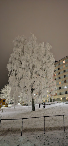 Nyans med Glans