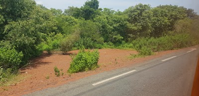 Photos of Keniebaoule Reserve