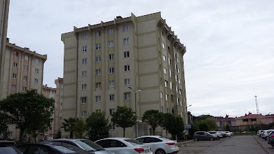 Photos of Toki