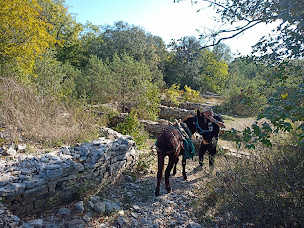 Photo n°8 de Sabots de Mons randonnée en âne Gard Alès à Mons (Centre de randonnée équestre)
