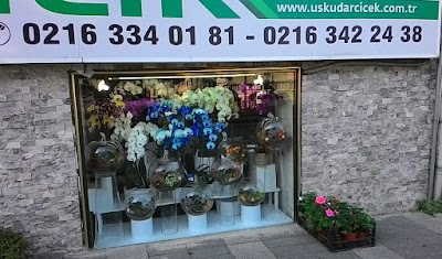 Photos of Uskudar Floriculture