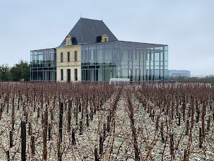 Photo n°20 de Bacchus Tours - Private Wine Tours à Bordeaux (Organisateur d'événements)