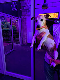 Photo n°5 de Parce qu'on Nem à Roubaix (Restaurant asiatique)