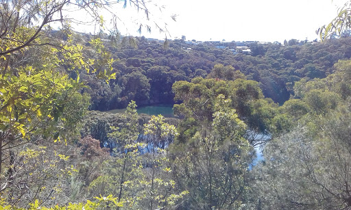 Deepwater Rd before Morella Pl - Thumbnail