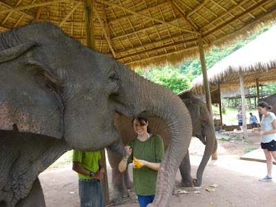Photos of Green Hill Valley Elephant Camp
