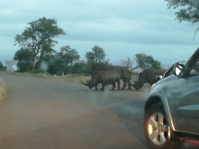 Photos of Green Kruger Lodge
