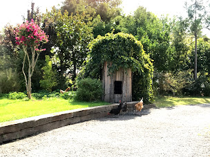 Photo n°48 de Passion Verte à Cosne-Cours-sur-Loire (Fleuriste)