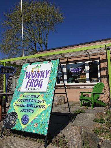 Wonky Frog Studio - Visual