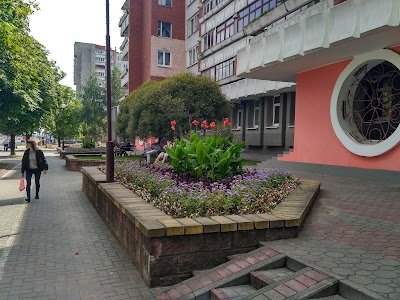 Photos of Detskaya Stomatologicheskaya Poliklinika