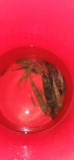 Zerambos bait shop - Thumbnail