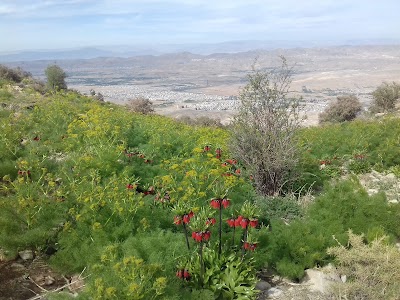 Photos of مسیر قله دراک