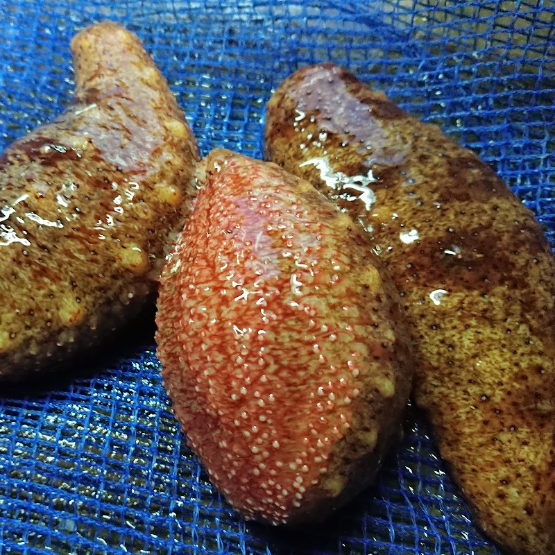 由良のアワビ屋(アワビ・ヒオウギ貝等の販売）