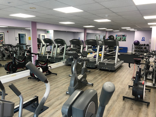 Stringer's Gym - Visual