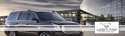 Gutierrez Pura Vida LLC Transportation Limo
