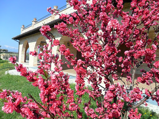 Farmhouse Alla Solagna - Thumbnail