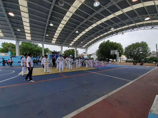 lineal "Coculco" Park