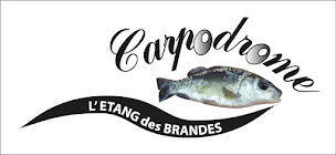 Photo n°13 de Carpodrome l'étang des brandes à Senillé-Saint-Sauveur (Site de pêche)