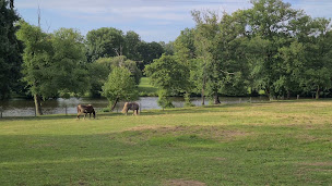 Photo n°12 de L'Eléphant Heureux à Bétête (Chambre d'hôtes)