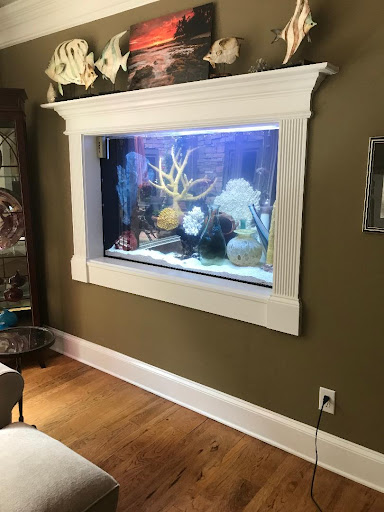 ATL Aquascaping - Visual