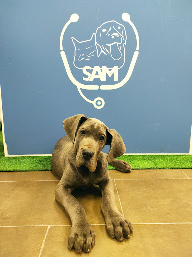 Clinica veterinaria Sam - Thumbnail