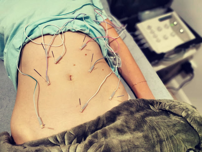 TherapyVibe Holistyczna Terapia Naturalna