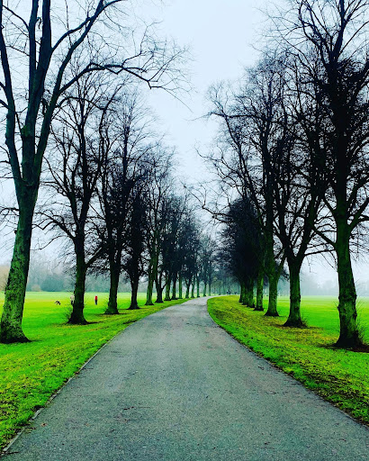 Darley Playing Fields - Visual