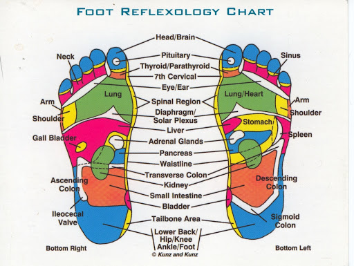 LaMonica Wellness - Visual