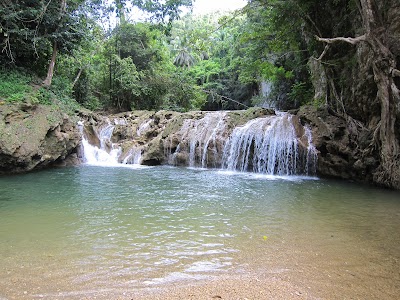 Photos of Tour Samana With Terry