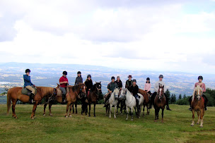 Photo n°4 de Les Écuries De La Croix Des Bois à Montillot (Centre équestre)