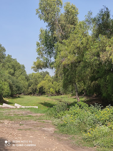 Barranca Tlamaco