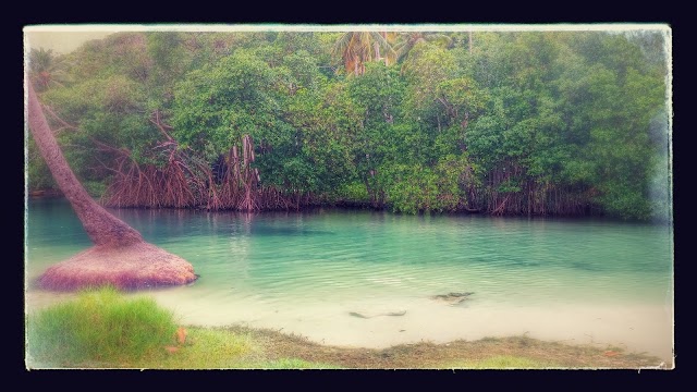 Playa Rincon