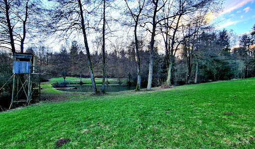 Schönbrunnen-Teich