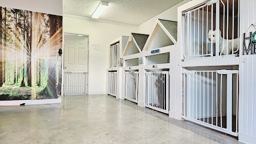 Pawsibilities Center for Canines Gallery - United States