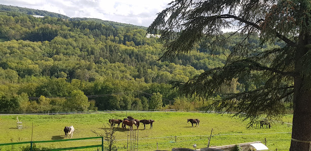 Paddock Paradise Lorette - Marlioz