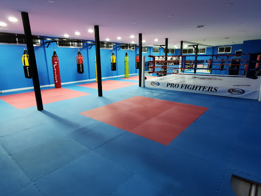 Pro Fighters - Visual