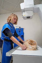 Photo n°8 de Clinique Vétérinaire My Vet Vallauris à Vallauris (Clinique vétérinaire)