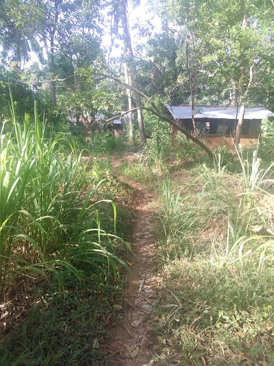 Photos of Gangeyaya Maha Vidyalaya