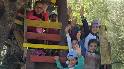 Photos of ecole le rosier