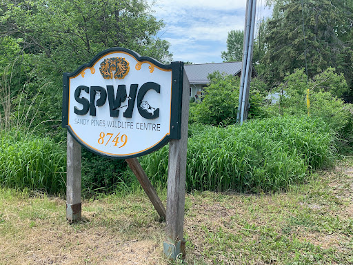 Sandy Pines Wildlife Centre Gallery - Canada