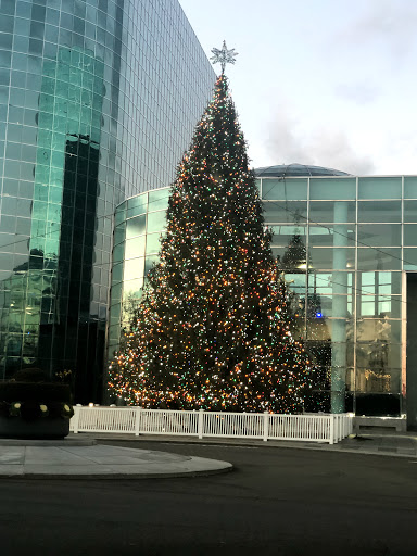 De Matteis Ice Rink Gallery - United States