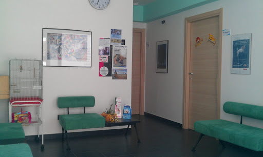 Valle dell'Ippari Clinica Veterinaria - Thumbnail