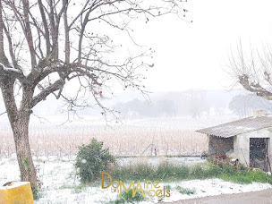 Photo n°10 de Domaine les Marcels à Rousset-les-Vignes (Moulin)