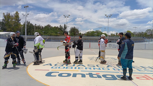 Sports Institute of the State of Aguascalientes - Thumbnail