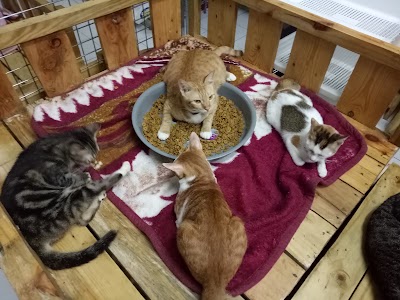 Photos of Pawradiso Pet Supplies