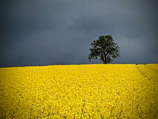 Friedhof Steinmark - Visual