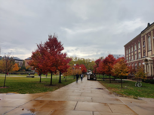 North Quad - Visual