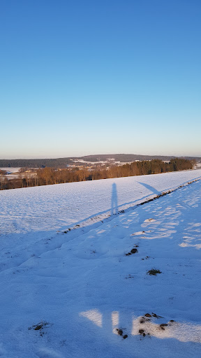 Thiersheim - Visual