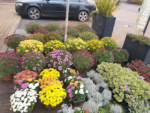 Photo n°13 de Le Dandy et Déco-Fleurs à Sainte-Scolasse-sur-Sarthe (Fleuriste)