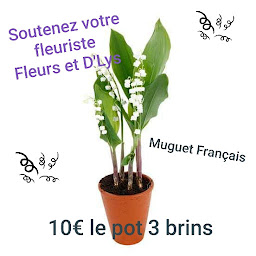 Photo n°16 de Fleurs & D'Lys Courtisols à Courtisols (Épicerie fine)
